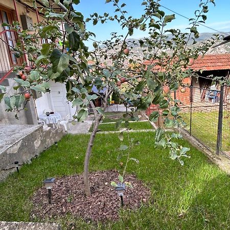 The Heart Of Sarajevo Apartment Exterior foto
