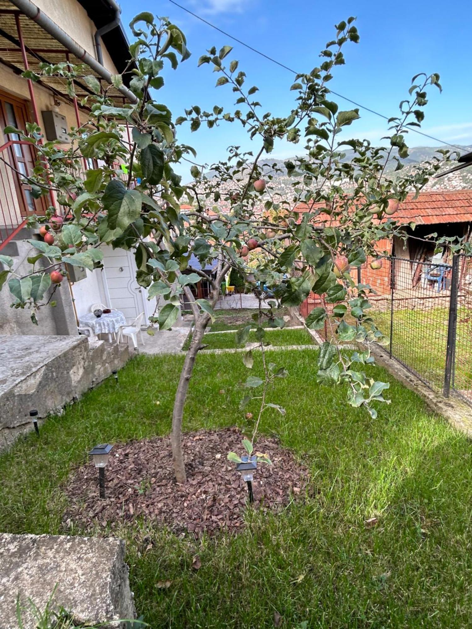 The Heart Of Sarajevo Apartment Exterior foto